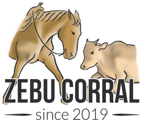 Zebu Corral | Circle K Ranch